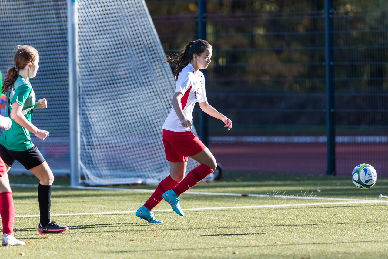 Bild 271 - wCJ Walddoerfer - Wellingsbuettel 3 : Ergebnis: 4:1